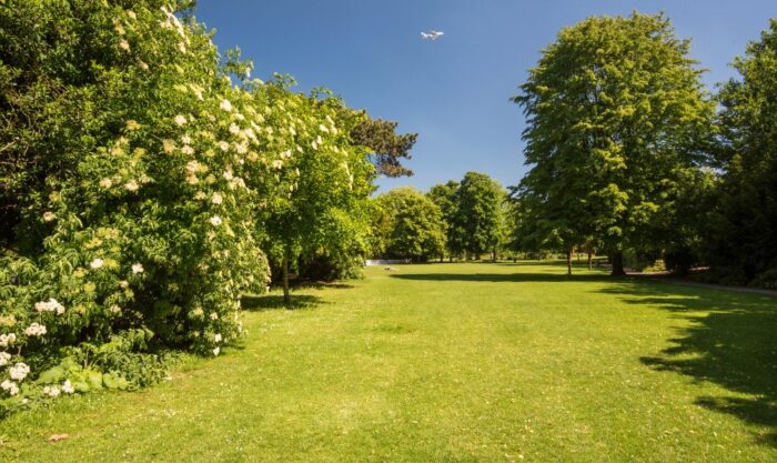 Green spaces