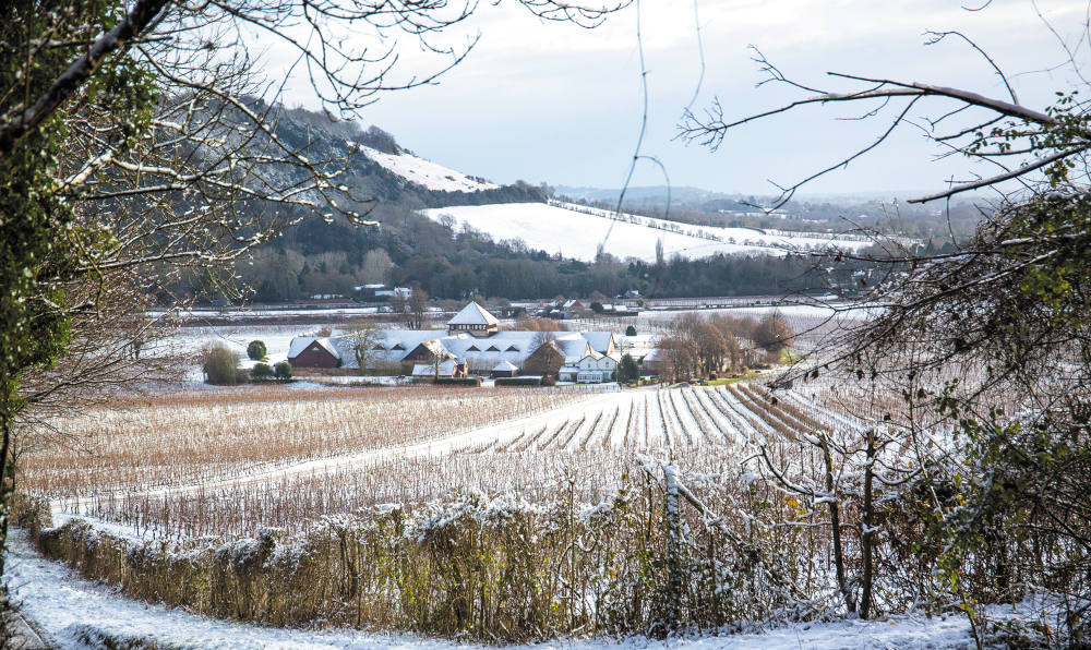 view over Denbies winter