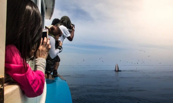 capture moments 2 (1)