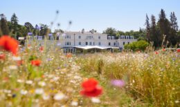 Coworth Park afternoon tea review header image