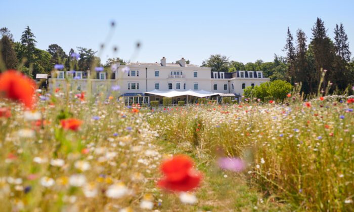 Coworth Park afternoon tea review header image