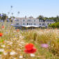 Coworth Park afternoon tea review header image